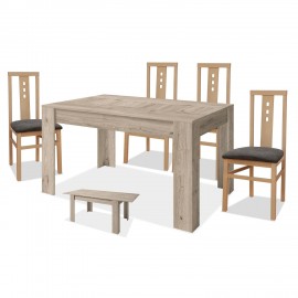 Conjunto mesa y 4 sillas ref-06